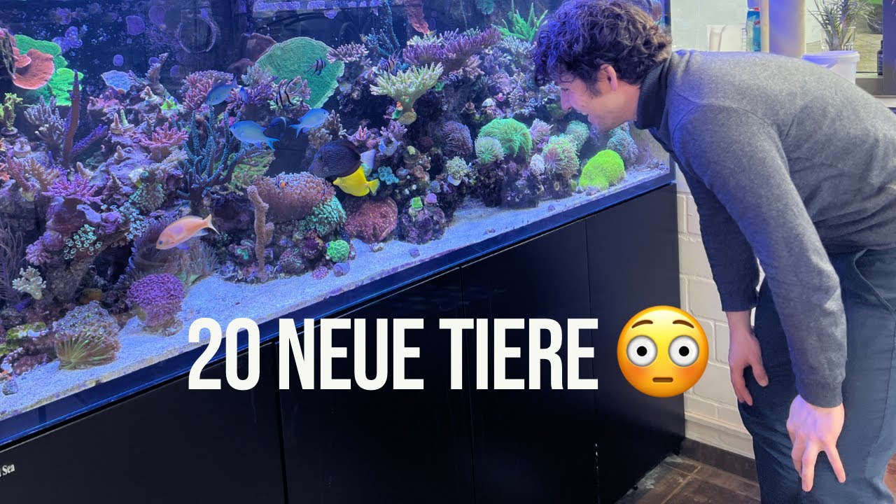 Glasrosenplage 🤬neues Projekt 😍 & 20 neue Tiere 😳