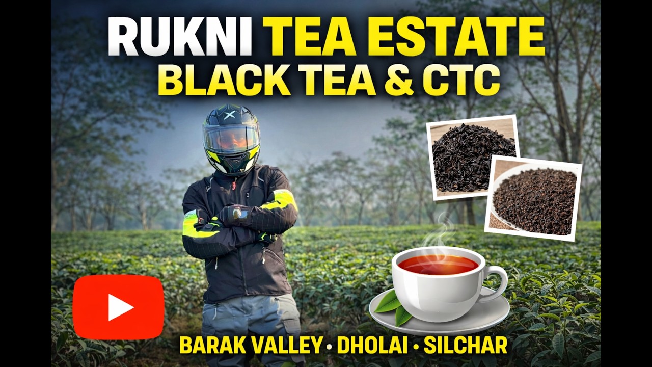 Inside Assam’s Hidden Tea Giant |  Rukni Tea Estate Revealed 🍃