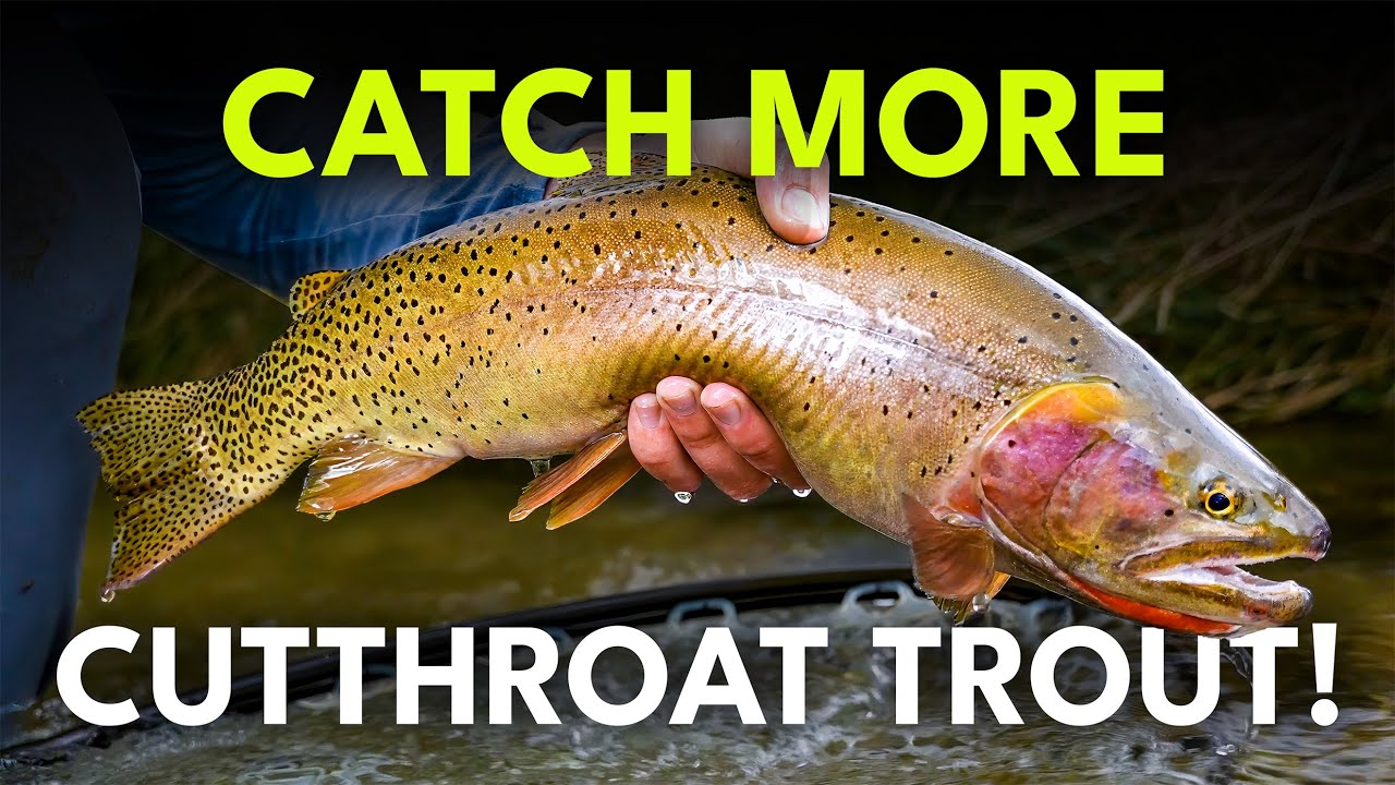 Fly Fishing for Cutthroat Trout: The Complete Guide | Ep. 129