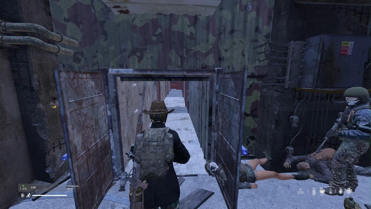 DayZ