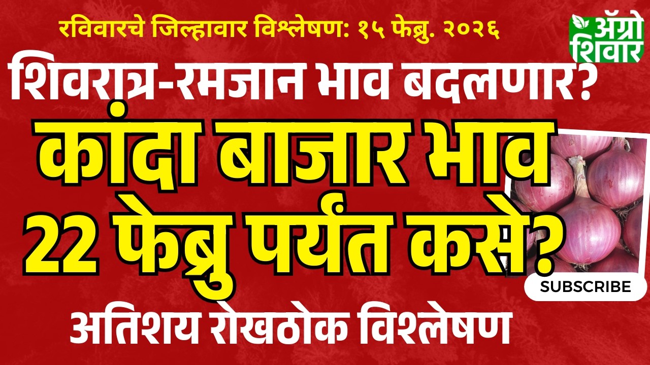 kanda bajar bhav | फेब्रुवारीच्या तिसऱ्या आठवड्यातील कांदा बाजार भाव विश्लेषण