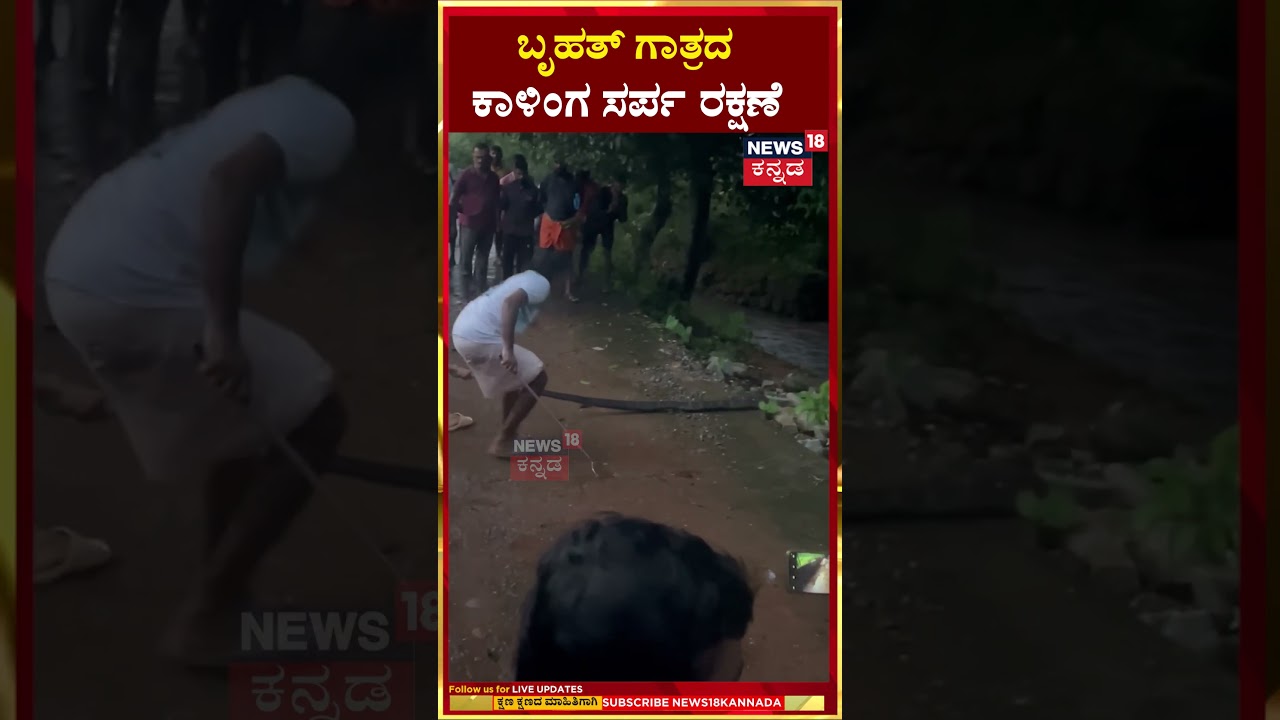 King Cobra Rescue In Byndoor | ಅಪರೂಪದ ಕಾಳಿಂಗ ಕಾಳಿಂಗ ಸರ್ಪ ರಕ್ಷಣೆ ! Kundapura | King Cobra | N18S