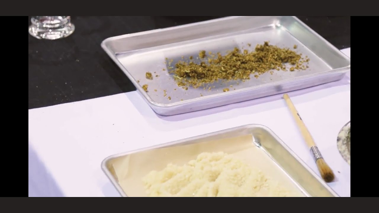 Ohio Marijuana Expo 2021&mdash;Presented by Ohio Marijuana Card at the Summit County Fairgrounds