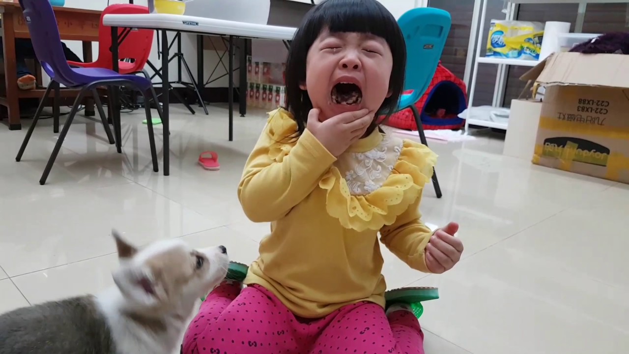 余柔萱×麻糬 麻糬真的只是在跟妳玩啦 XD