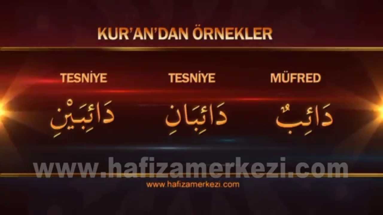 Arapça / Arapça Eğitimi / Sayısına Göre İsimler Uygulama Video - 1