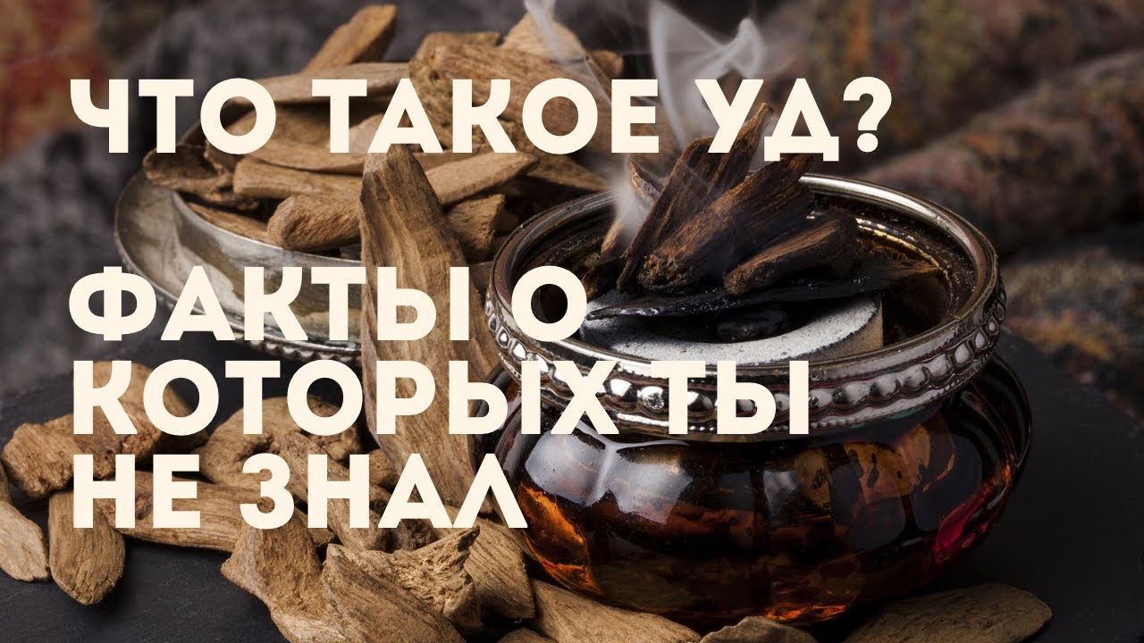 Что такое Уд (Oud, Aoud) в парфюмерии?
