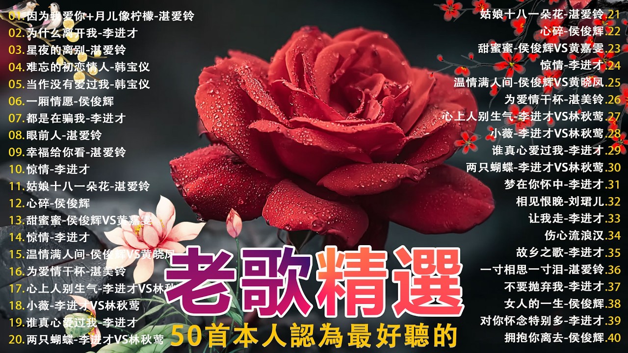 经典老歌🎯100首70、80、90年代唱遍大街小巷的歌曲今天给大家推荐 ✨ 推荐50多岁以上的人真正喜欢的歌曲 | 李进才| 韩宝仪 | 刘珺儿 | 湛爱铃 | 赖冰霞 | 谢采妘 | 喻方君 #3