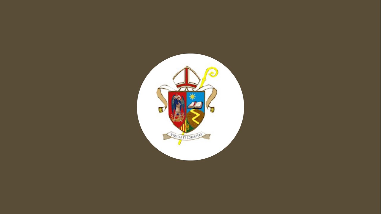 Procesión infantil del Santo Entierro del Colegio Oratorio Festivo de San Miguel de Orihuela 2025