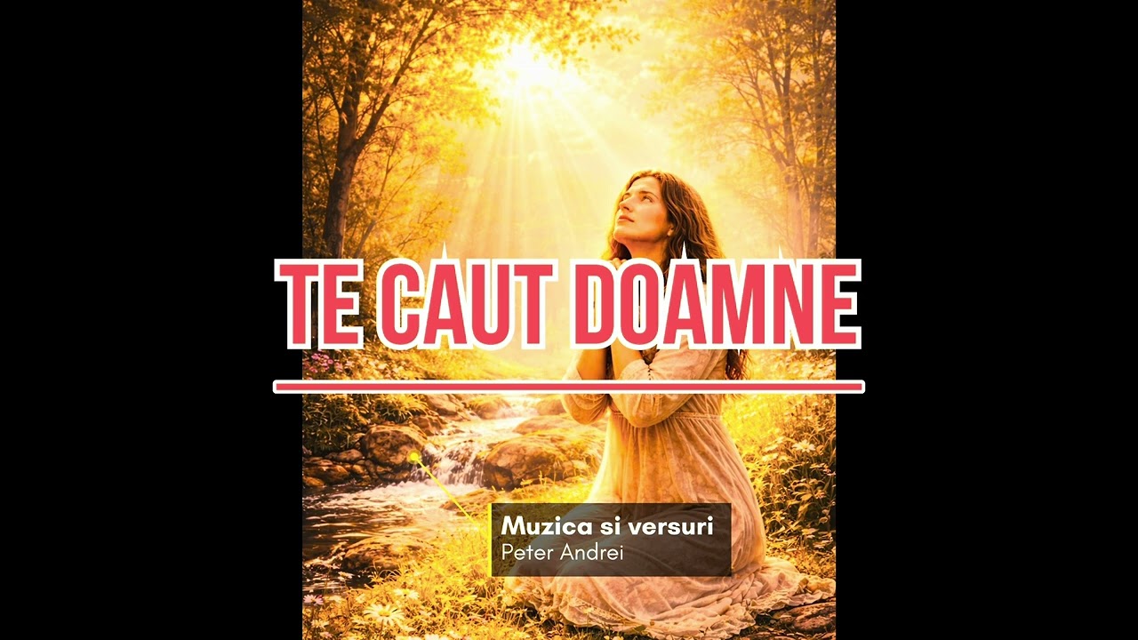Te caut Doamne . | Peter Andrei | 