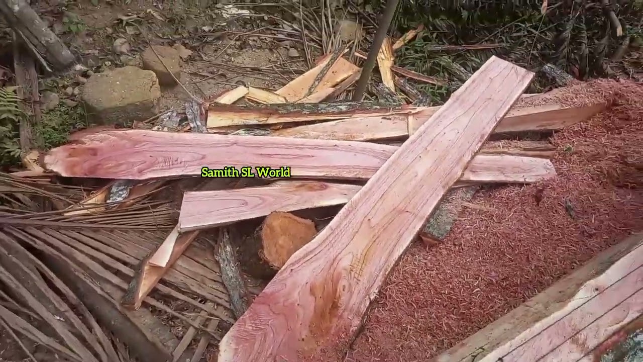 චේන්සෝ එකෙන් ලී කපන විදිහ | how to wood cutting 
