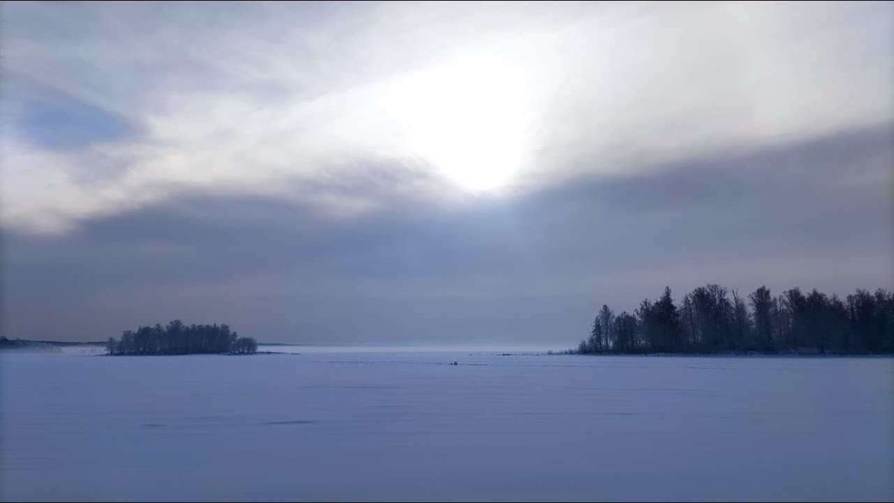 Увильды, Жемчужина, рипус, 25.02.25