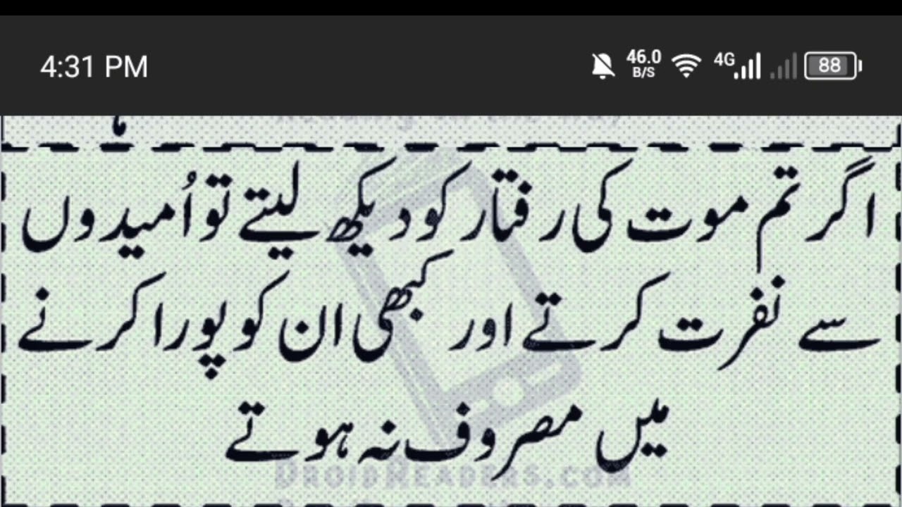 کامیابی حوصلوں سے ملتی ہے||مومن بندہ نہ زبان سے حملے کرنے #quotes #motivationquotes 