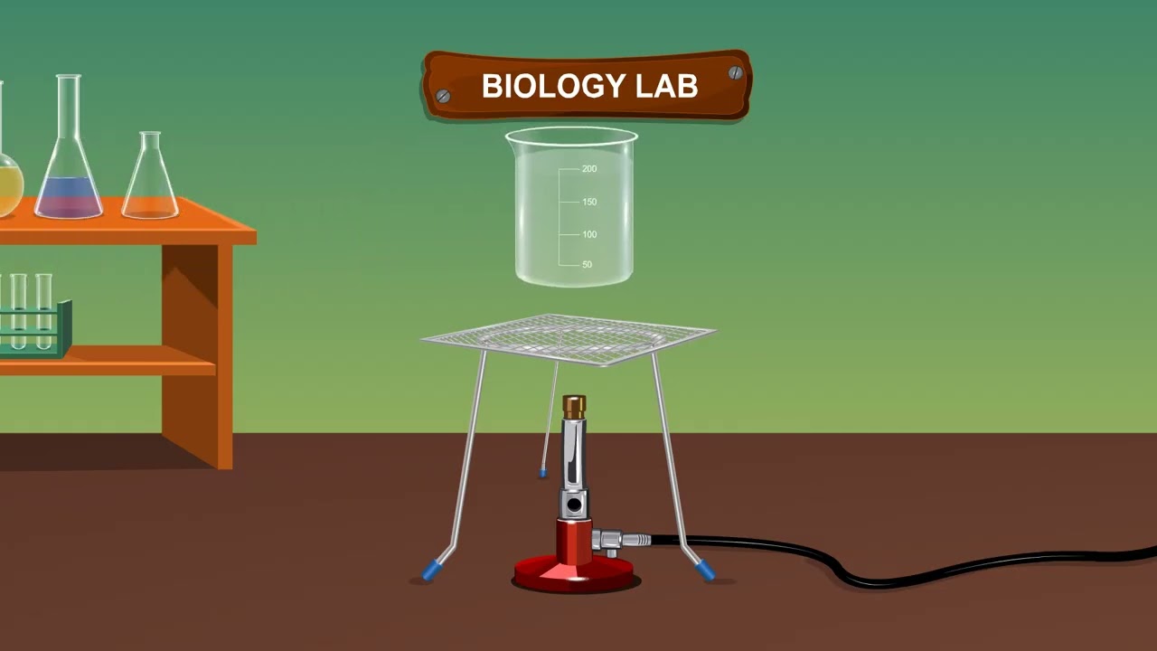 TO STUDY THE POLLEN TUBE GROWTH IN STIGMA