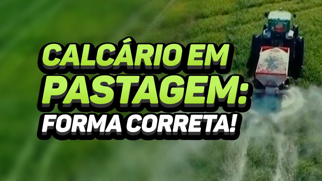 CALCÁRIO EM PASTAGEM SEM INCORPORAR - COMO FAZER