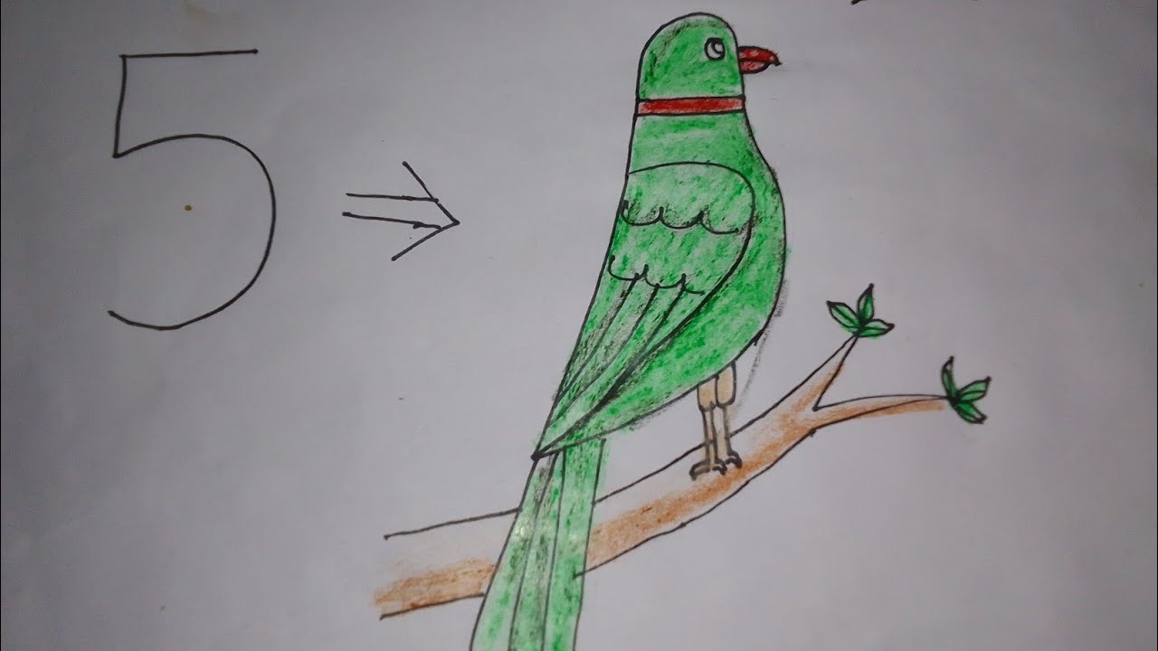 HOW TO DRAW PARROT 🦜 FROM 5 || EASY TRICK || PARROT DRAWING 🦜