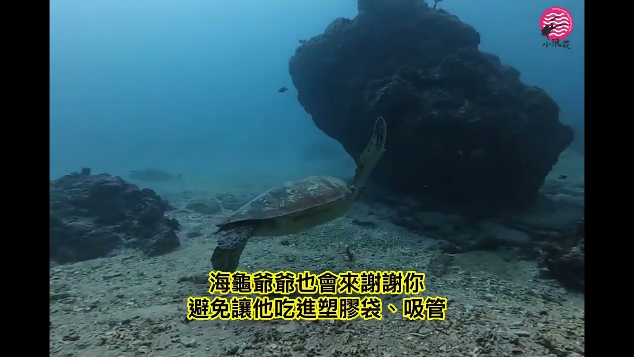 墾丁南灣小浪花：課程花絮