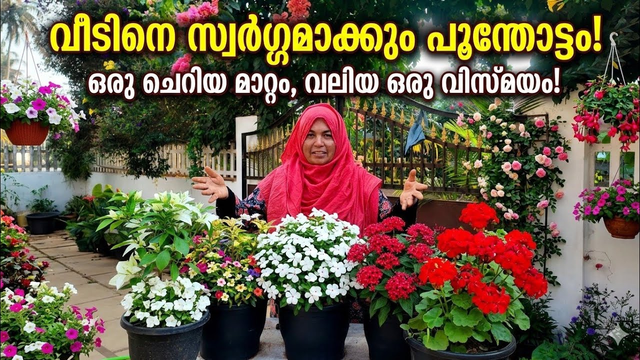 ഇല കാണില്ല, വെറും പൂക്കൾ മാത്രം! ചെടി നിറയെ പൂക്കാൻ ഈ ഒരു വിദ്യ മതി! 🌸🌸🌹🌺🌻