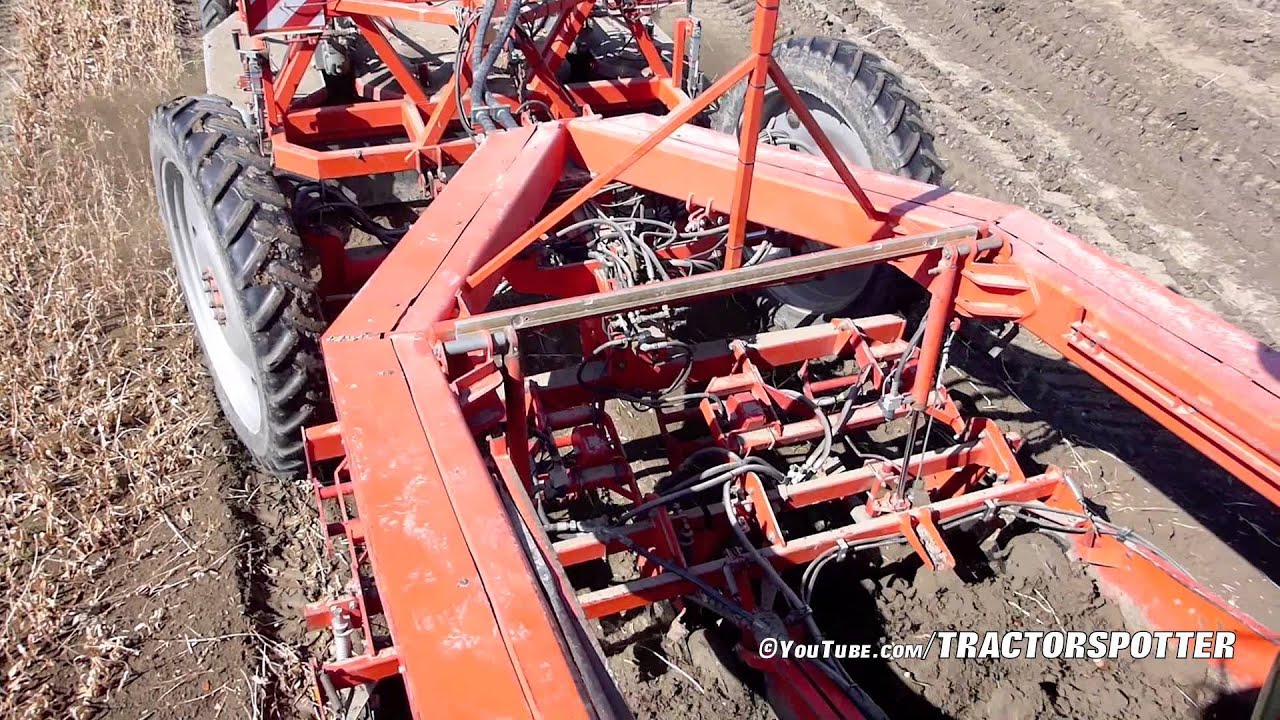 Tulpenbollen rooien / Tulip bulbs harvest | Grimme SF 3000 / Horsch TT 380 | V.O.F. Dogterom