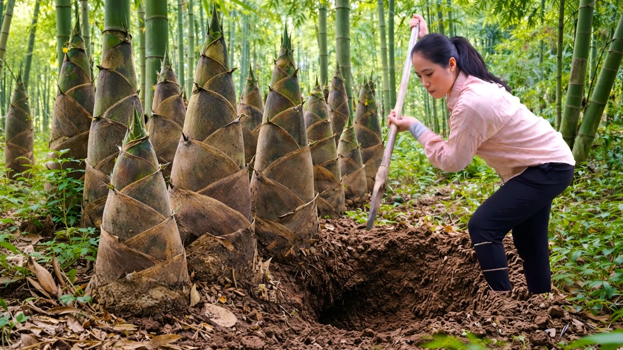 Going into the forest to dig up bamboo shoots to sell - How to make stuffed bamboo shoots with meat