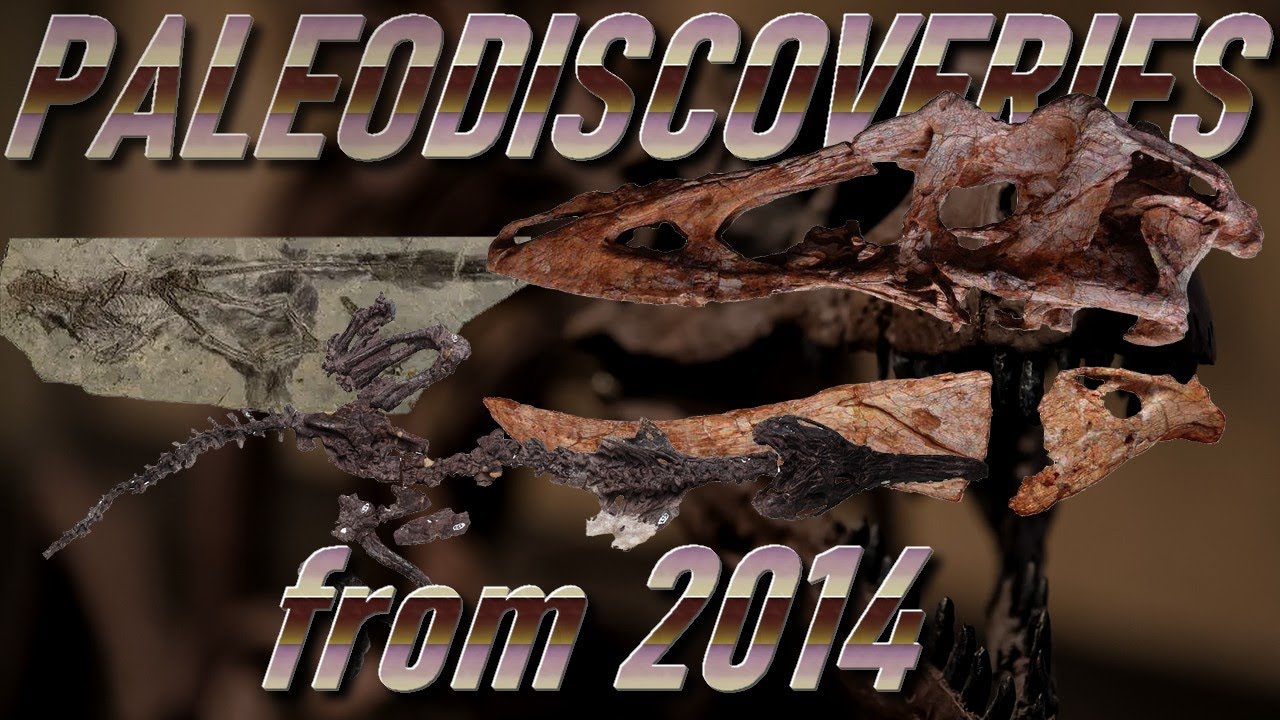 PALEO-DISCOVERIES from 2014
