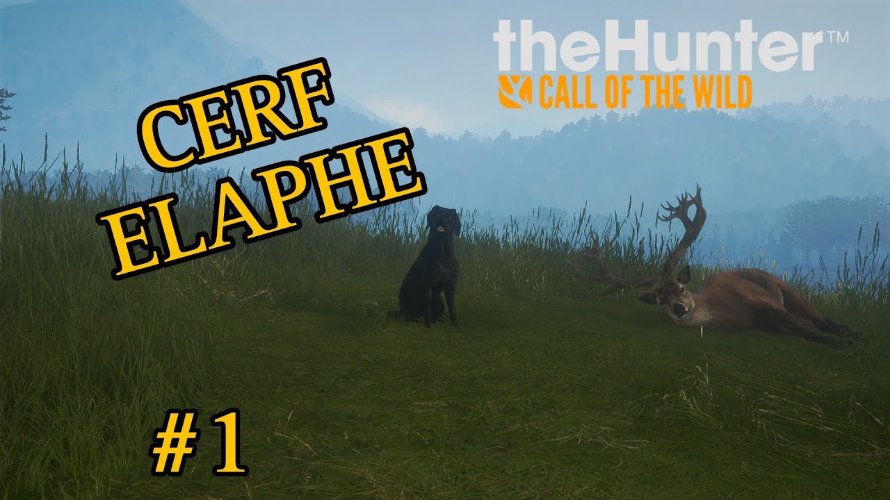 A la recherche du Cerf Elaphe Légendaire #1 ( The Hunter Call Of The Wild )