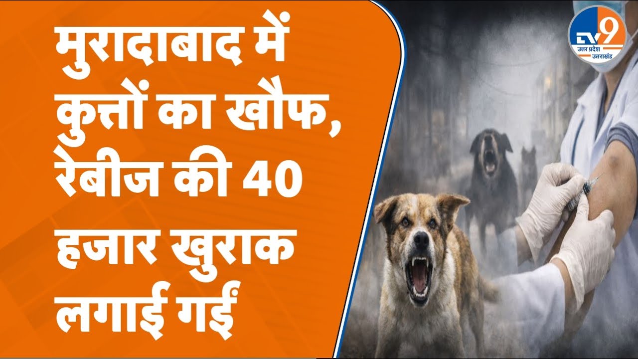 Moradabad में कुत्तों के खौफ से जनता परेशान, हर दिन जिला अस्पताल पहुंच रहे इतने सारे मरीज
