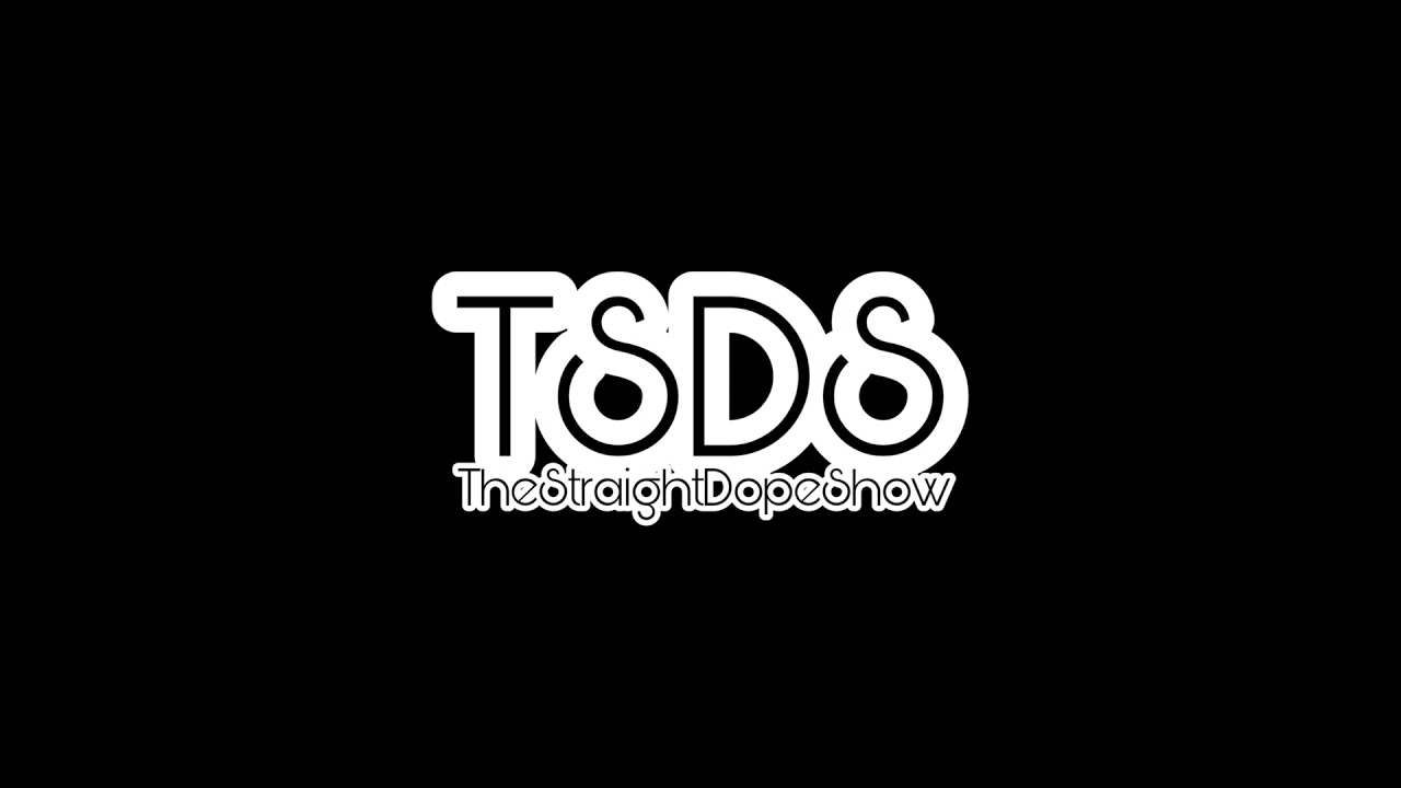 TSDS 417 Kings, Coaches, and Culture: A Deep Dive into NBA Dynamics