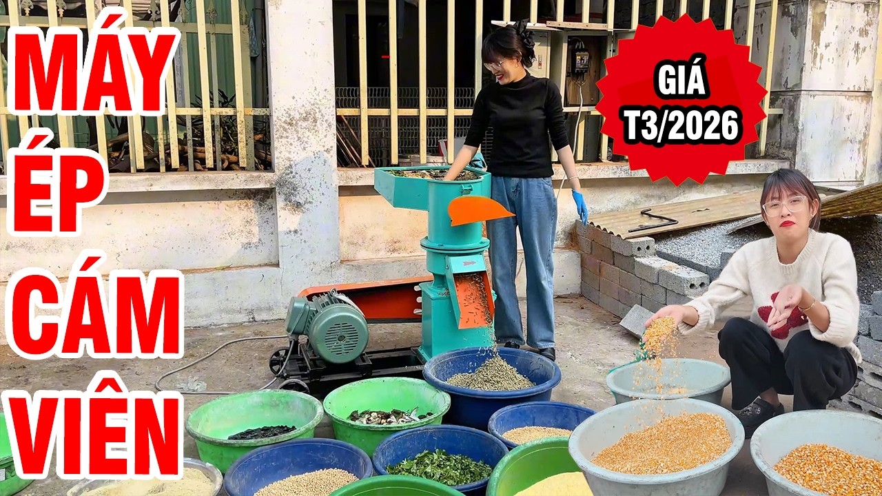 🎯 Tránh Lãng Phí Khi Mua MÁY ÉP CÁM VIÊN | Lựa Chọn Thông Minh Chỉ Với 5 Bí Quyết