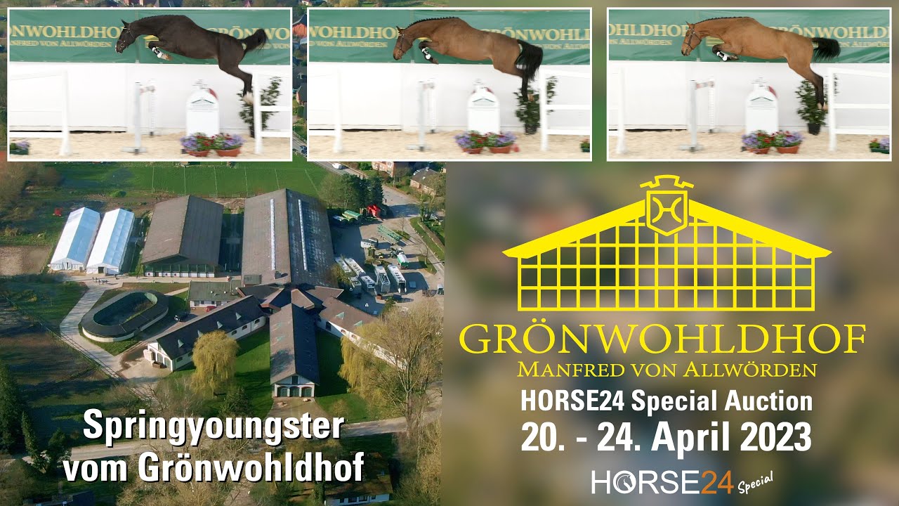Springyoungster vom Gr&ouml;nwohldhof 20. - 24. April 2023 - HORSE24 Special Auction / Trailer
