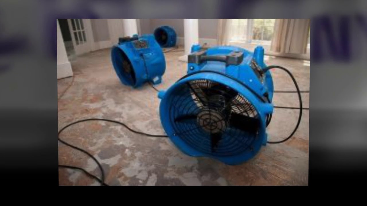 flood basement clean up in Jamaica - Water Damage Clean Up Queens