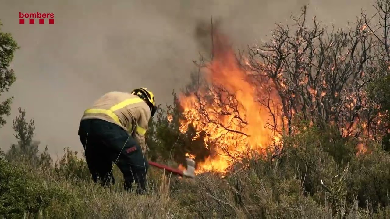 Incendi forestal de Baldomar - 17 de juny de 2022