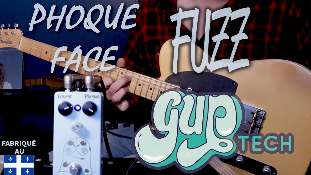 Phoque Face FUZZ | Guptech | Jay Sigouin