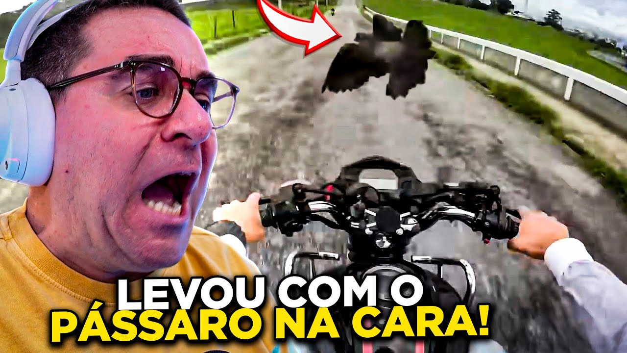 ASSUSTOU-SE COM O PÁSSARO | RIC REAGE a XRacing Videos