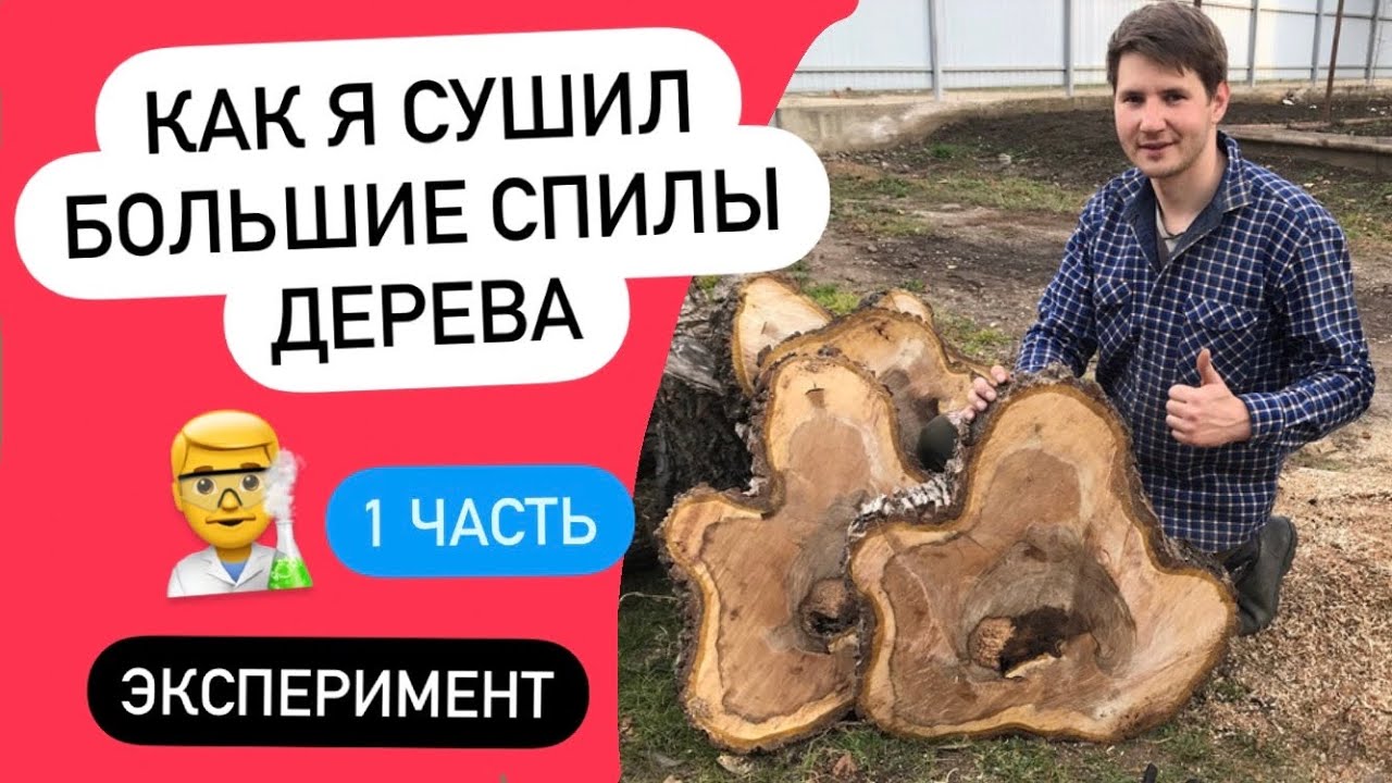 Как я сушил большие спилы дерева
