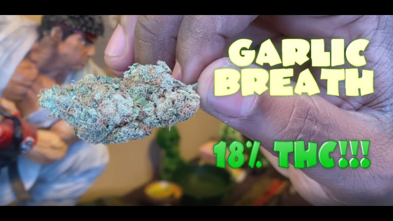 Weed Smoking Session #29 - Garlic Breath
