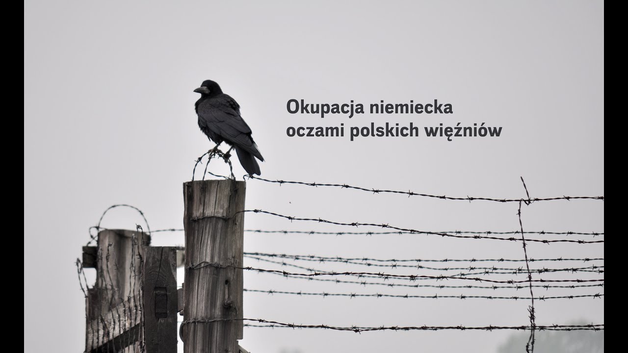 Okupacja Niemiecka Oczami Polskich Więźniów
