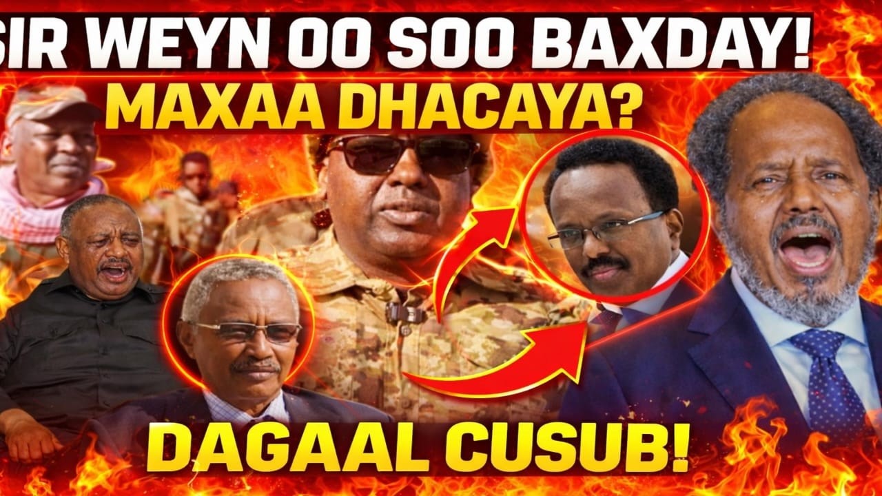 #degdeg:- DAAROOD IYO HAWIYE OO QARKA U SAARAN IN UU DAGAAL DHEX MARO IYO FIQI DAGAAL QAADAY SEEMORE