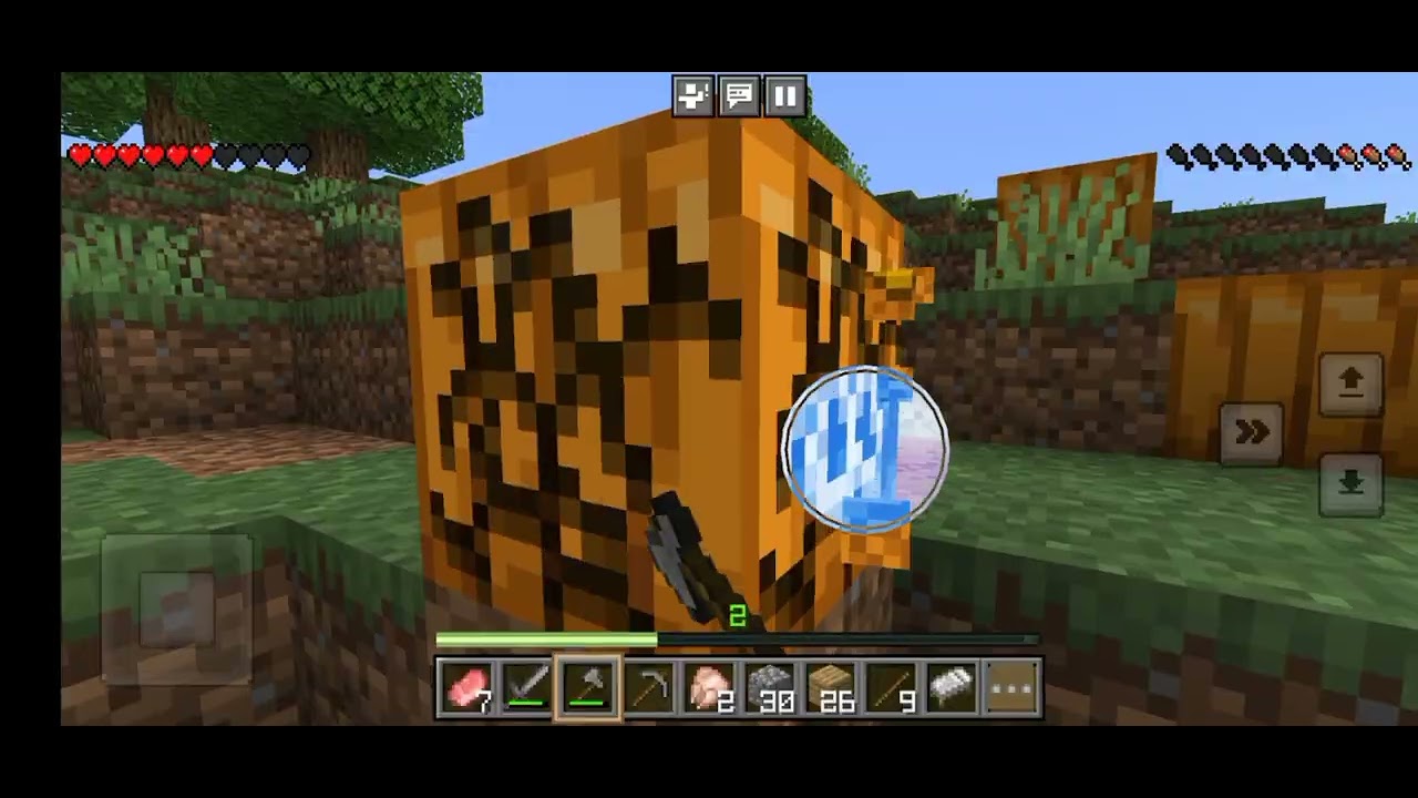 Minecraft survival mode 