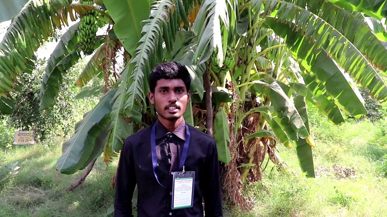 Telugu waste decomposer WDC