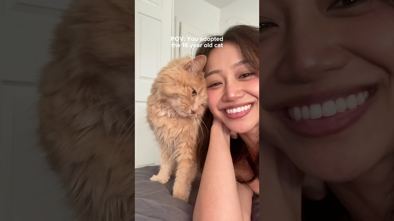 We adopted a senior cat but I didn&rsquo;t expect THIS