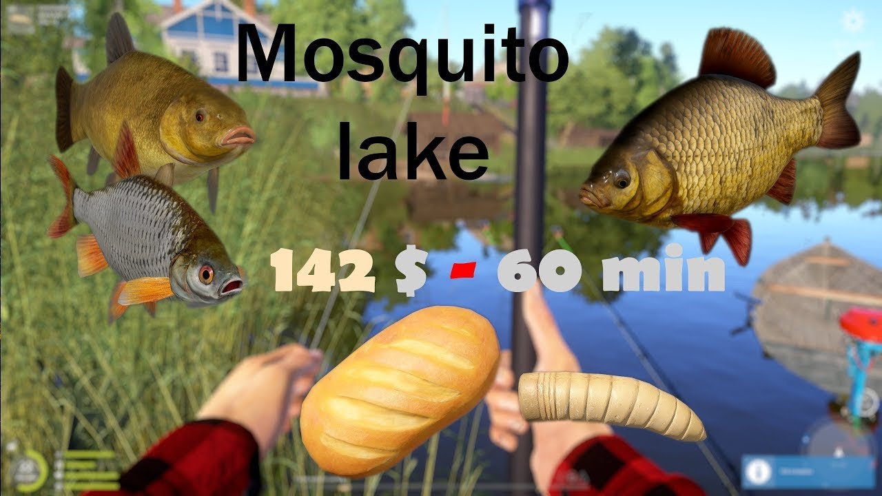 Russian Fishing 4 Romania | Gibel / Crucian Carp Trophy Spot!