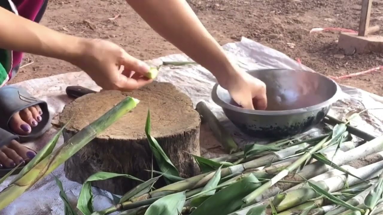 แหนงน้ำหมอกงามๆ