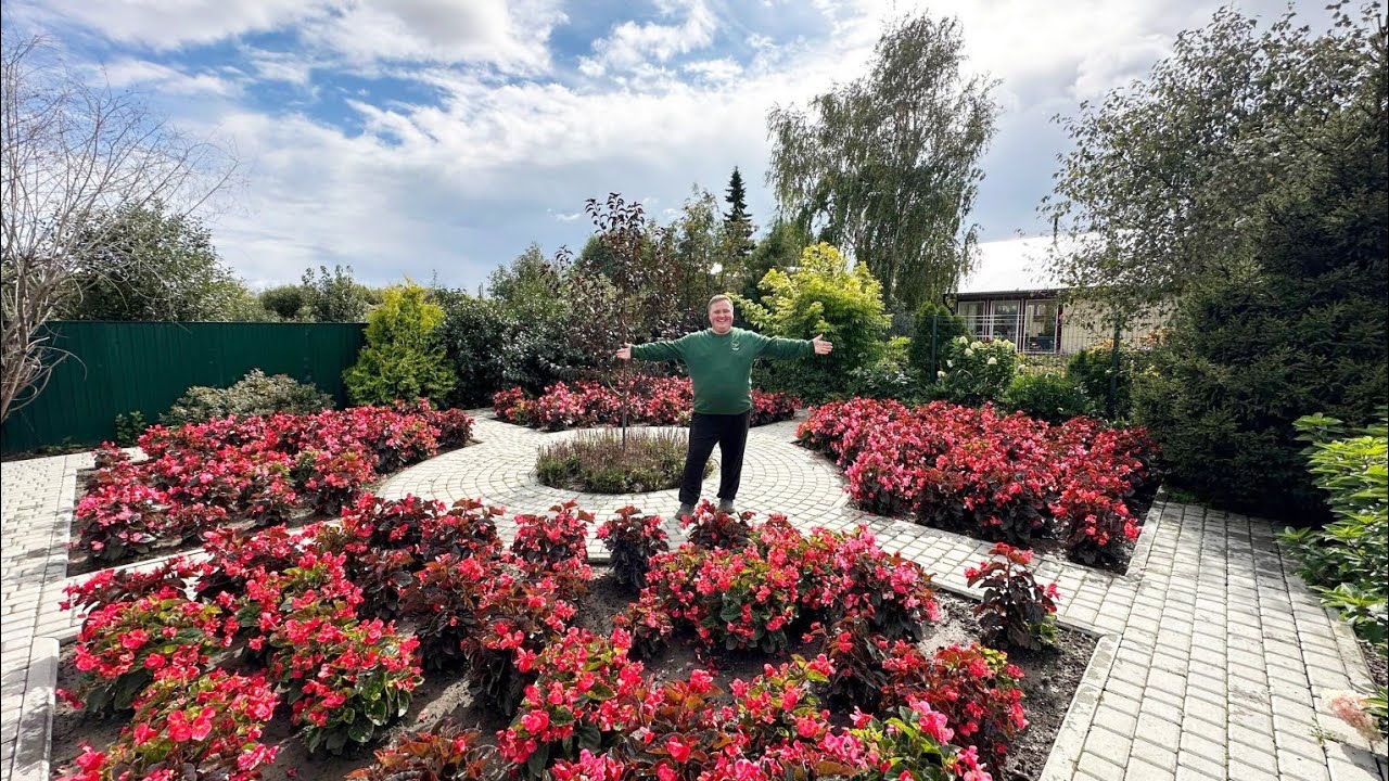 Мой цветущий двор 2025🥰//My favorite flowers🌼🌼🌼