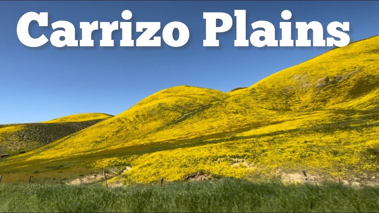 A beautiful California Super Bloom at Carrizo Plain National Monument.