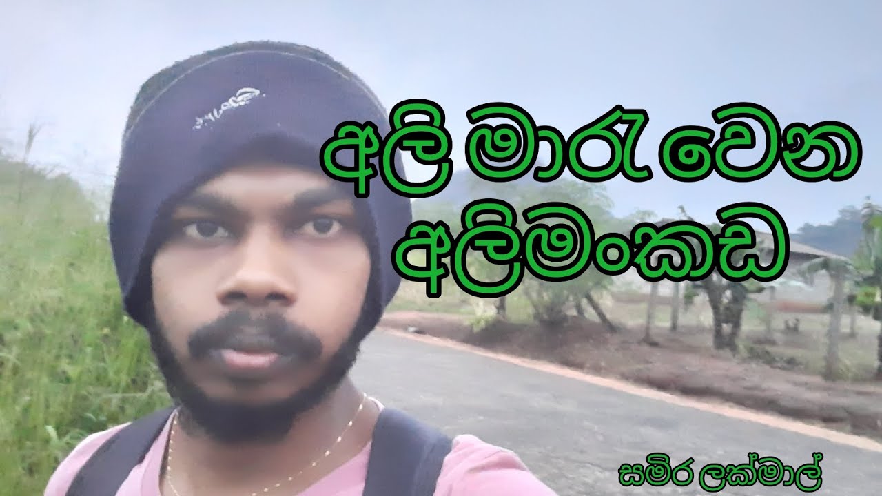 අලියාට තියෙන මතකය