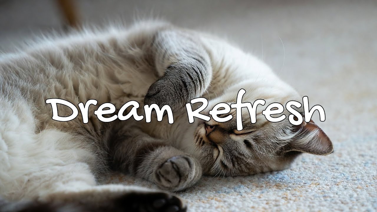 Deep Sleep Music For Cats 🌙 Cat Relaxing Music - Soft Piano Night | Season 2 | Full Album 🎵