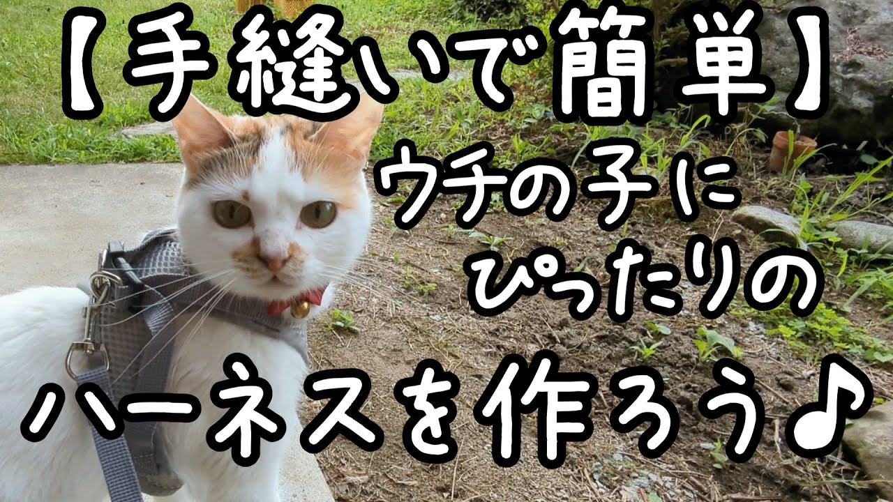 #8【手縫いで簡単】ウチの子にぴったりのハーネスを作ろう！