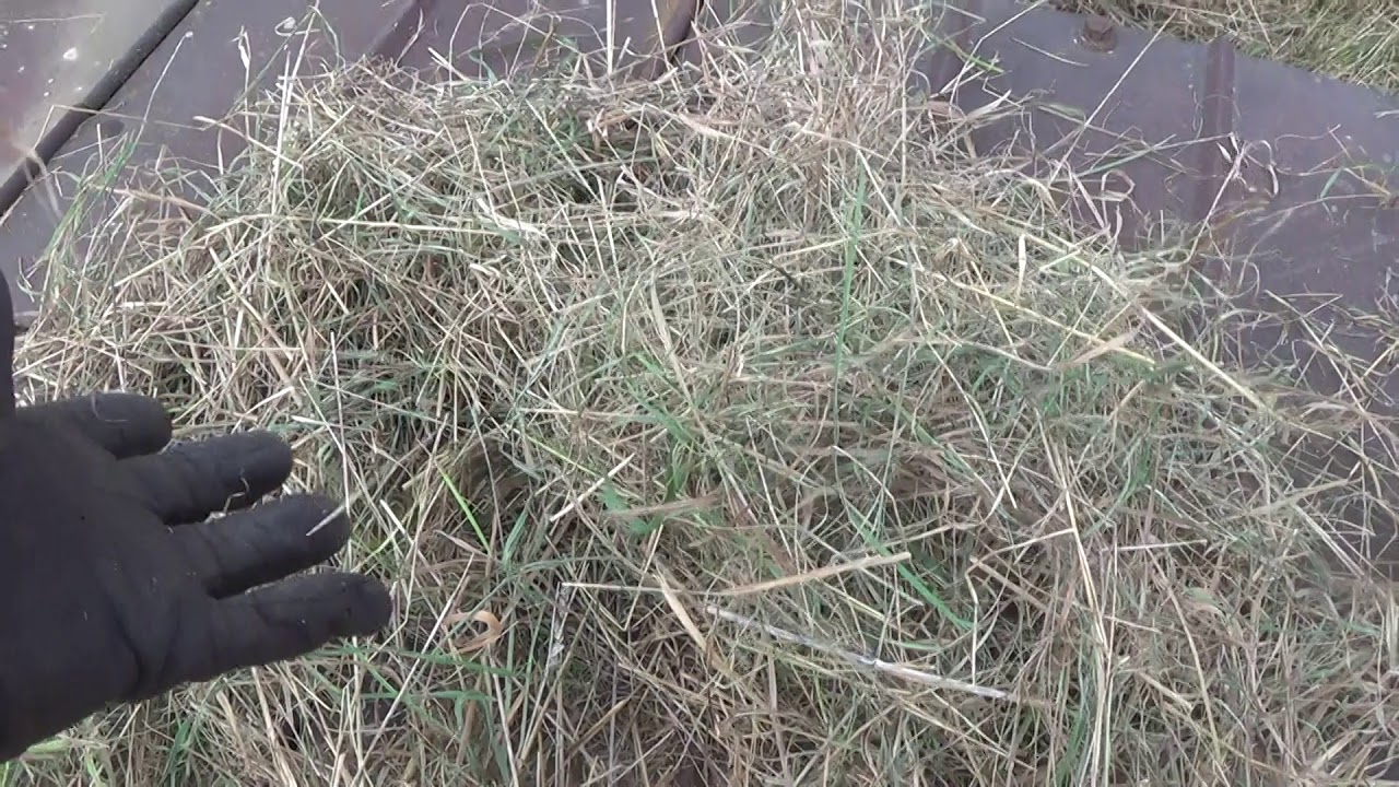 New Idea cut/ditioner hay vs. New Holland 489 hay