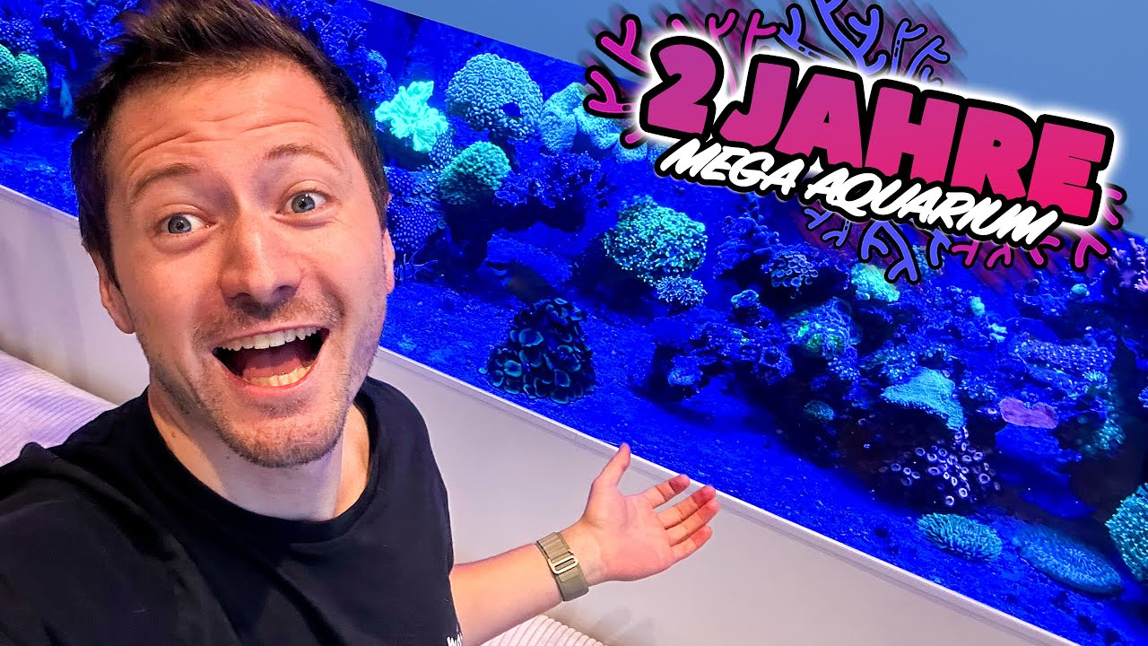 2 JAHRE MEGA AQUARIUM! 🎉