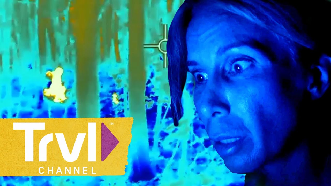 TOP 5 Pieces of Bigfoot Evidence from Season 2 | Expedition Bigfoot | Travel Channel